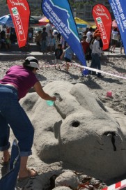 Sandcastle competition 2009