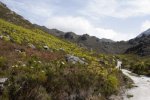 Hottentots Holland Nature Reserve, Cape Town Nature, Cape Town