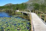 Silvermine Nature Reserve, Cape Town Nature, Cape town