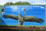 Eagle Encounters, Spier Wine Estate, Cape Town