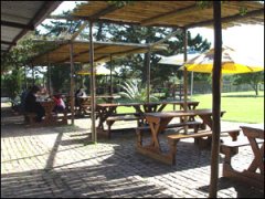 Patio, West Coast Ostrich Ranch, Cape Town