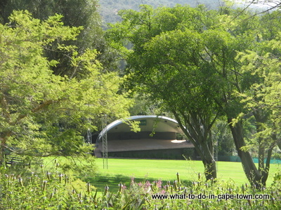 Kirstenbosch, Cape Town