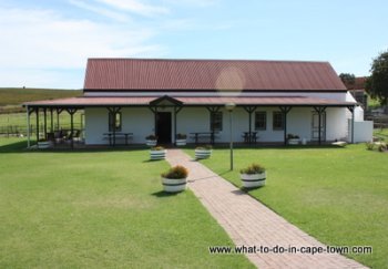 , Tasting Room, Middelvlei Wine Estate, Stellenbosch Wine Route, Cape Town