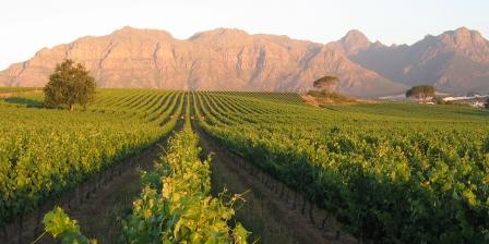 Kleine Zalze, Stellenbosch Wine Route, Cape Town