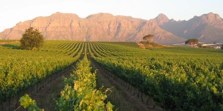 Kleine Zalze, Stellenbosch Wine Route, Cape Town