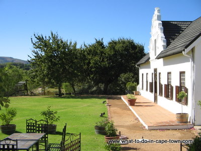 Picnic, Hazendal Wine Estate, Stellenbosch Wine Route, Cape Town