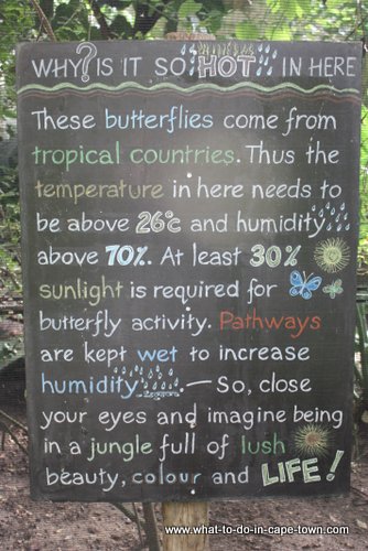 Butterfly World, Cape Town