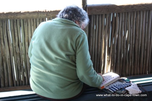 Cape Town Weather - Bird watching during the warmer weather