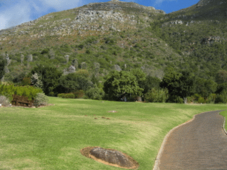 Cape Town Walks - Kirstenbosch National Botanical Garden