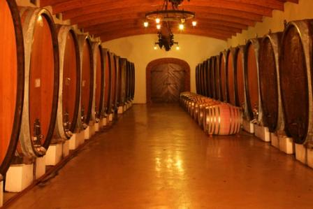 The cellar at Nederburg Wine Estate, Paarl