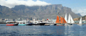 Boat Trips, Cape Town