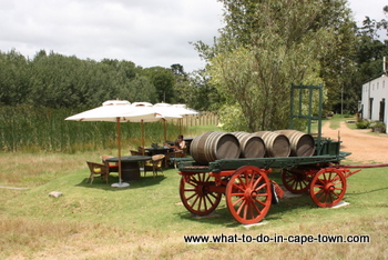 Restaurant, Altydgedacht Wine Estate, Durbanville Wine Route, Cape Town