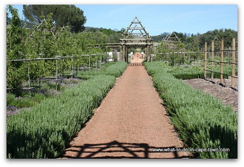 Edible Garden at Babylonstoren on the Paarl Wine Route