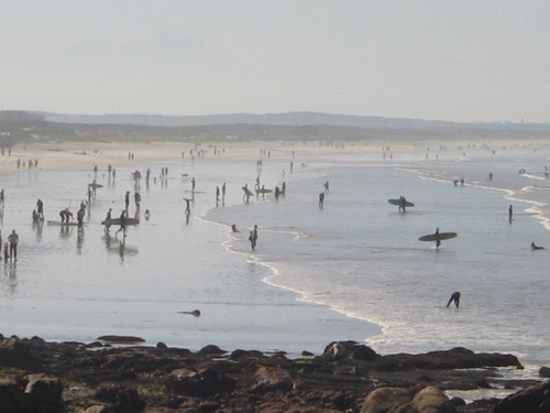 Cape Town Beaches - Muizenberg