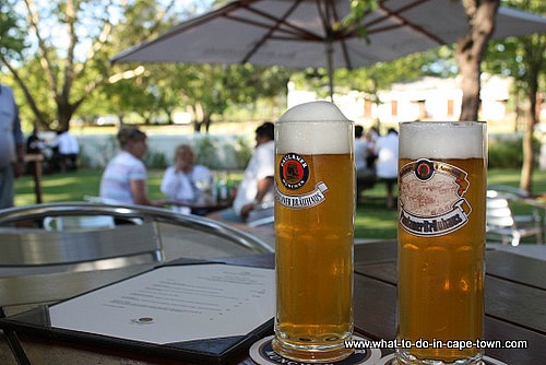 Paulaner Beer, Blaauwklippen Wine Estate, Stellenbosch Wine Route, Cape Town