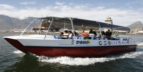 Dawn a Catamaran Harbour Ferry, Cape Town Boating