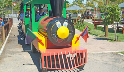 Choo-choo Train at Bugz Family Playpark, Cape Town