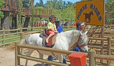 Horse Rides Bugz Family Playpark, Cape Town