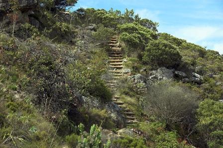 Cecilia Forest, Cape Town