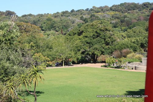 Kirstenbosch National Botanical Gardens - City Sightseeing, Cape Town