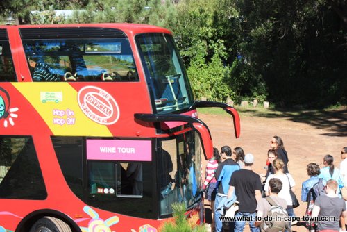 Wine Tour of City Sightseeing, Cape Town