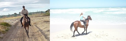 Cape Town Horse Riding Centres