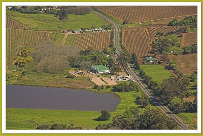 D'Aria Farm, Durbanville