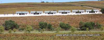 Cottages, D'Aria Vineyards, Durbanville Wine Route, Cape Town