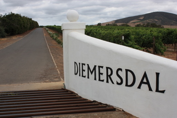 The entrance to Diemersdal Wine Estate