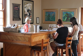 Tasting room, Diemersdal Wine Estate, Cape Town