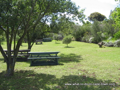 Durbanville Nature Reserve