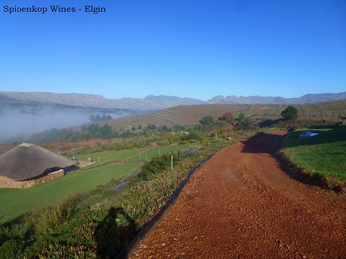 Spioenkop Wines, Elgin Wine Route