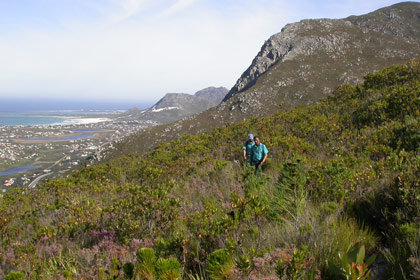 Fynbos Trail at Harold Porter National Botanical Garden