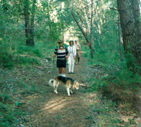 Hiking on Helderberg Farm 