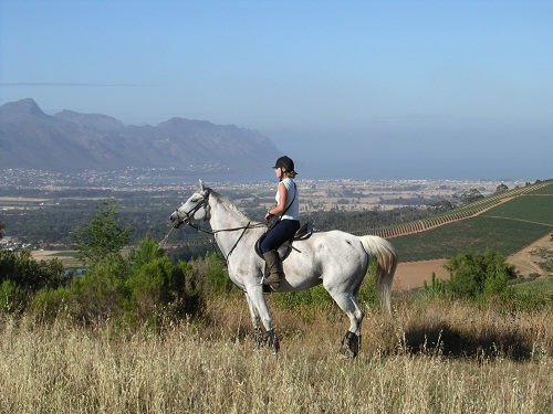 Journey's End, Cape Town Horse Riding Centres