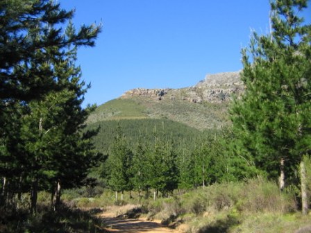 Jonkershoek Nature Reserve