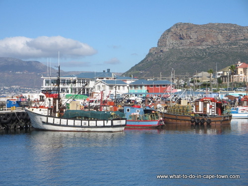 Kalk Bay, Cape Town