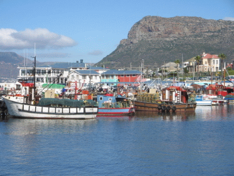 Kalk Bay harbour, Kalk Bay, Cape Town