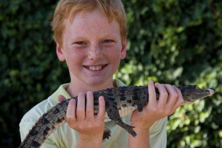 Holding a crocodile at Le Bonheur Crocodile Farm