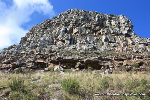 Lions Head Walk, Cape Town Nature, Cape Town Activities, Cape Town