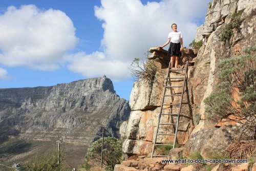 Lions Head Walk, Cape Town Nature, Cape Town Activities, Cape Town