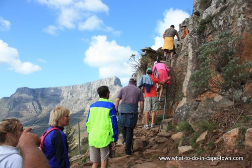 Lions Head Walk, Cape Town Nature, Cape Town Activities, Cape Town