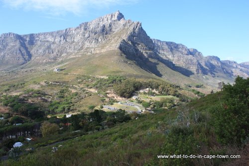 Lions Head Walk, Cape Town Nature, Cape Town Activities, Cape Town