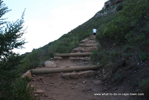 Lions Head Walk, Cape Town Nature, Cape Town Activities, Cape Town