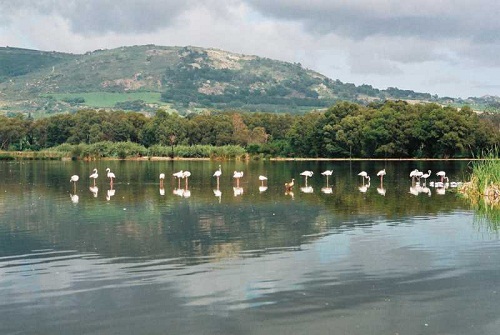 Paarl Bird Sanctuary