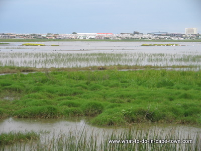 Rietvlei Nature Reserve