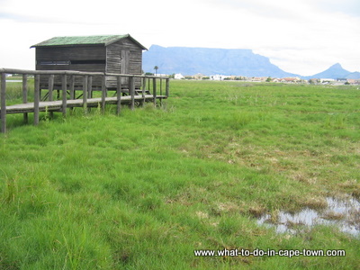 Bird Hide at Rietvlei Nature Reserve