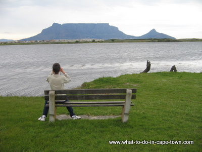 Milnerton Lagoon, Rietvlei Nature Reserve