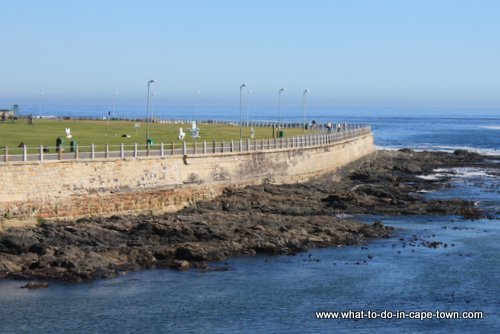 Sea Point promenade a favourite walk of Sarah Duff