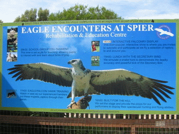 Eagle Encounters, Spier Wine Estate, Cape Town